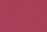 Caribbean, Hooked on Walls 27272