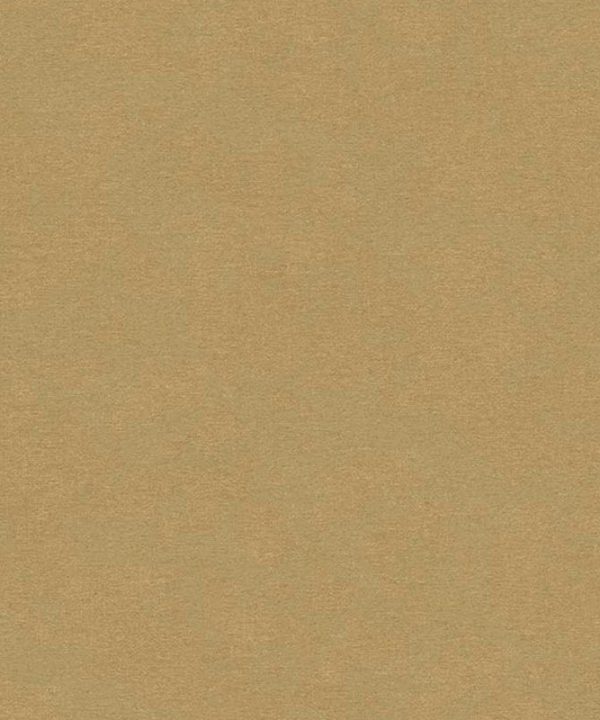 Caribbean, Hooked on Walls 27282