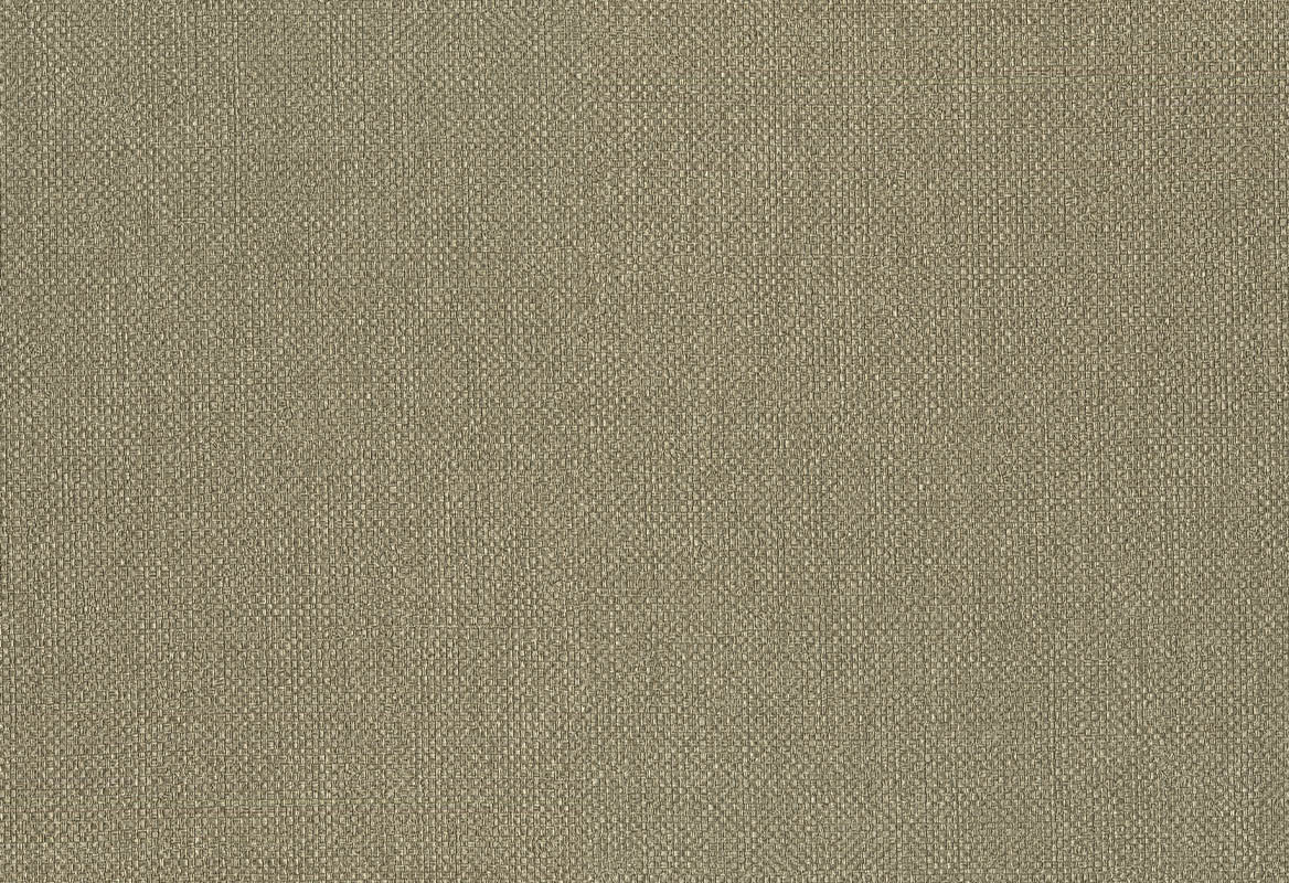 60632-3DER Lemuria, Hooked on Walls 60632