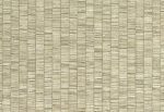 Lemuria, Hooked on Walls 60651