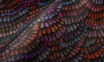 Memento Moooi Dandelion Cranes MO4020