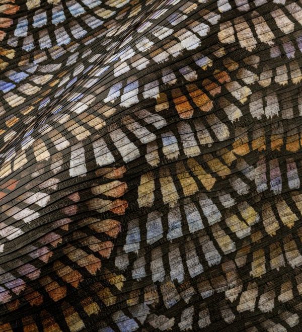 Memento Moooi Dandelion Cranes MO4021