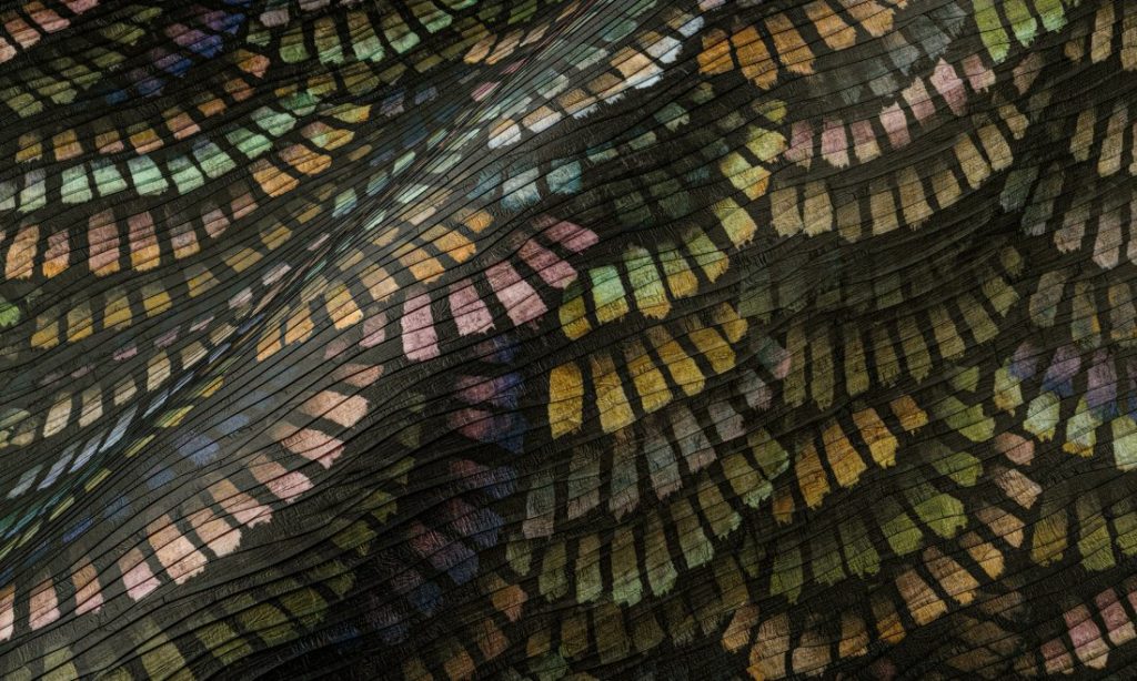 Memento Moooi Dandelion Cranes MO4022