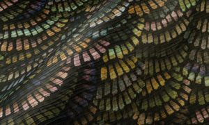 Memento Moooi Dandelion Cranes MO4022