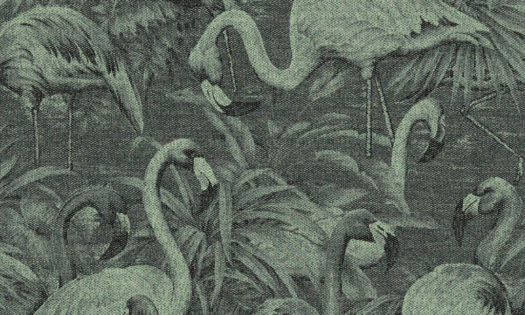 Flamencos Andinos 97610