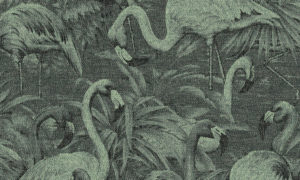 Flamencos Andinos 97610