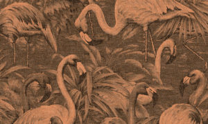 Flamencos Andinos 97611