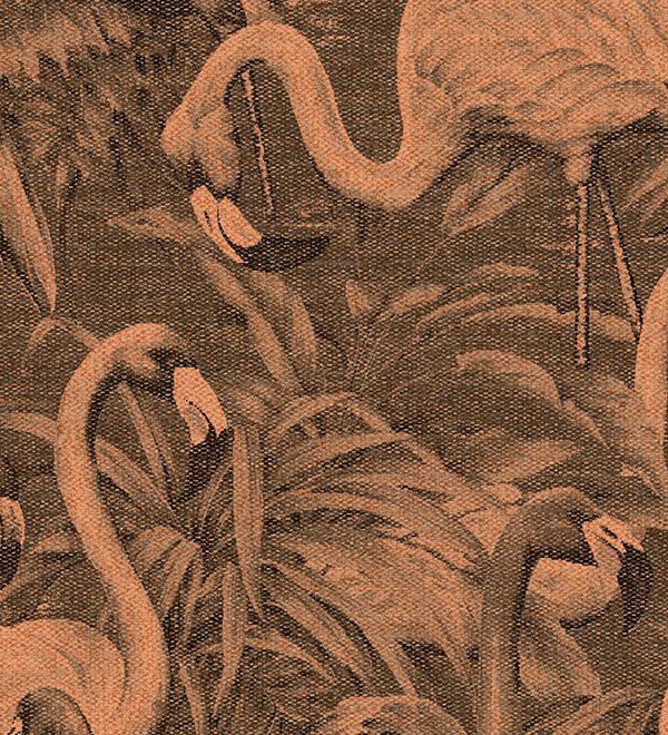 Flamencos Andinos 97611