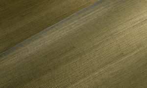 Marqueterie 72750