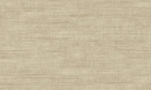 Canvas 24508