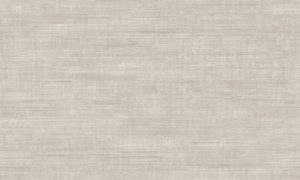 Canvas 24511