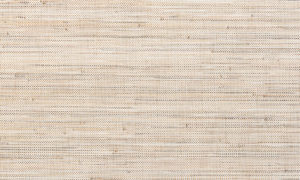 Les Forets 48022