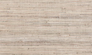 Les Forets 48023