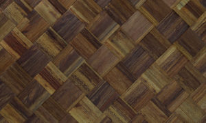 Les Forets 48002