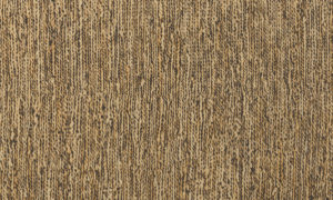 Les Forets 48053