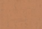 HookedonWalls Terra-Cotta_42118