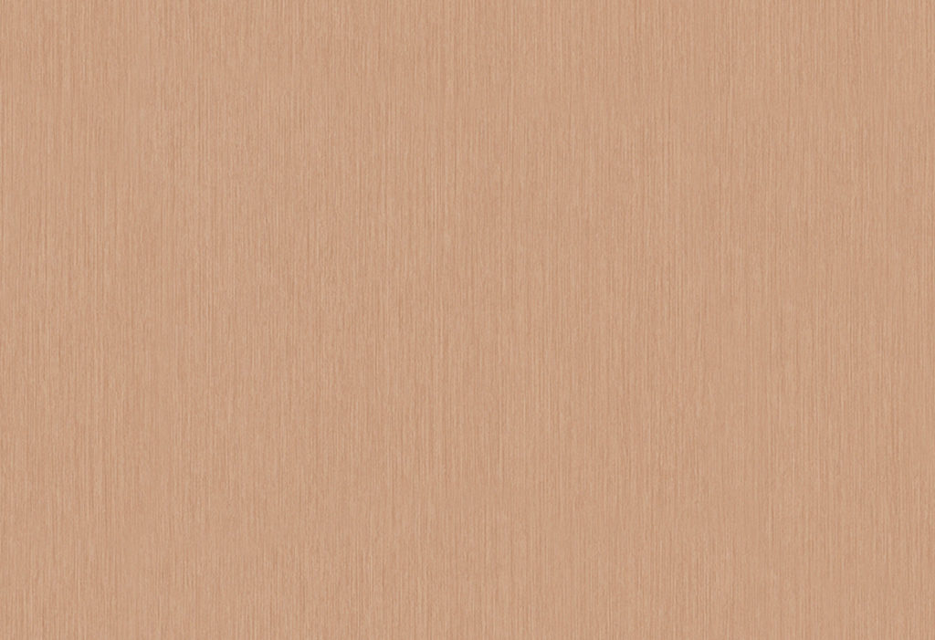 HookedonWalls Terra-Cotta_Plain-42134