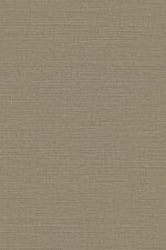 Loom Stories | Mandarina Silk LS404