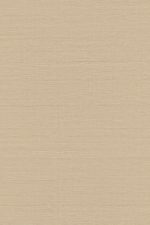 Loom Stories | Mandarina Silk LS402