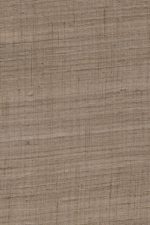 Arte Wild Silk | Ghicha Silk 86545