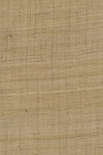 Arte Wild Silk | Ghicha Silk 86549