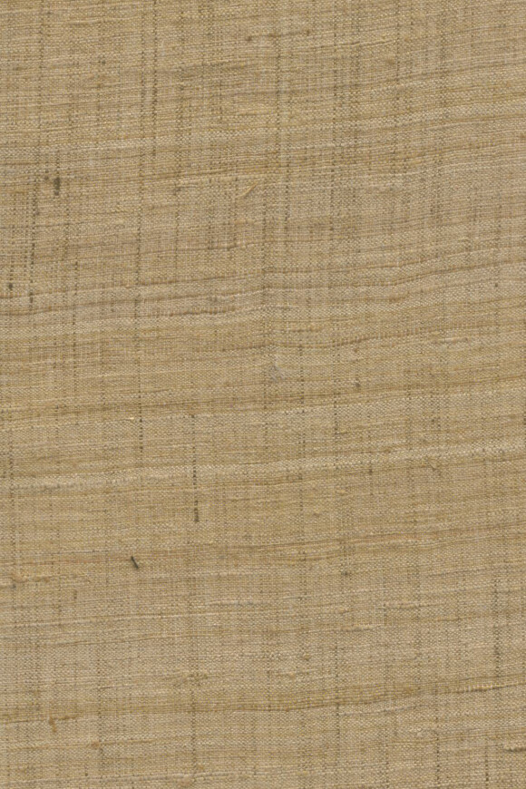 Arte Wild Silk | Ghicha Silk 86549