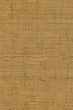 Arte Wild Silk | Ghicha Silk 86550