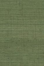 Arte Wild Silk | Ghicha Silk 86554