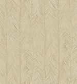 Arte Monsoon 2.0 Itaya 75401B