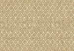 HoW Tahiti | Ikat Textile TA25031