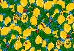 HoW Enriquezland - Limoni 25539