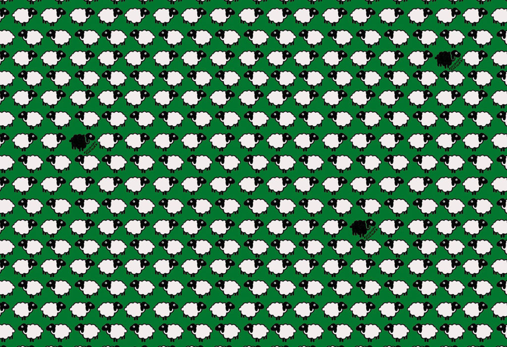 HoW Enriquezland - Pecorelle 25510