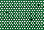 HoW Enriquezland - Pecorelle 25510