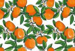 HoW Enriquezland - Tangerine 25540