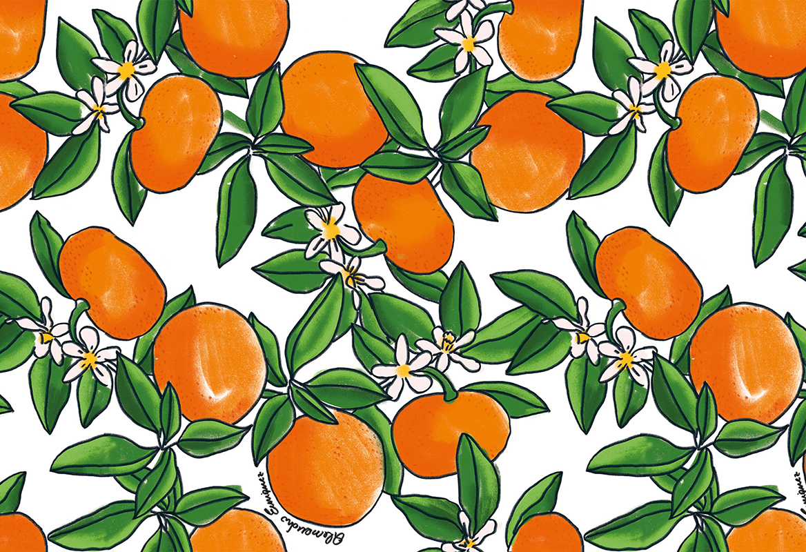 HoW Enriquezland - Tangerine 25540 HoW Enriquezland - Tangerine 25540
