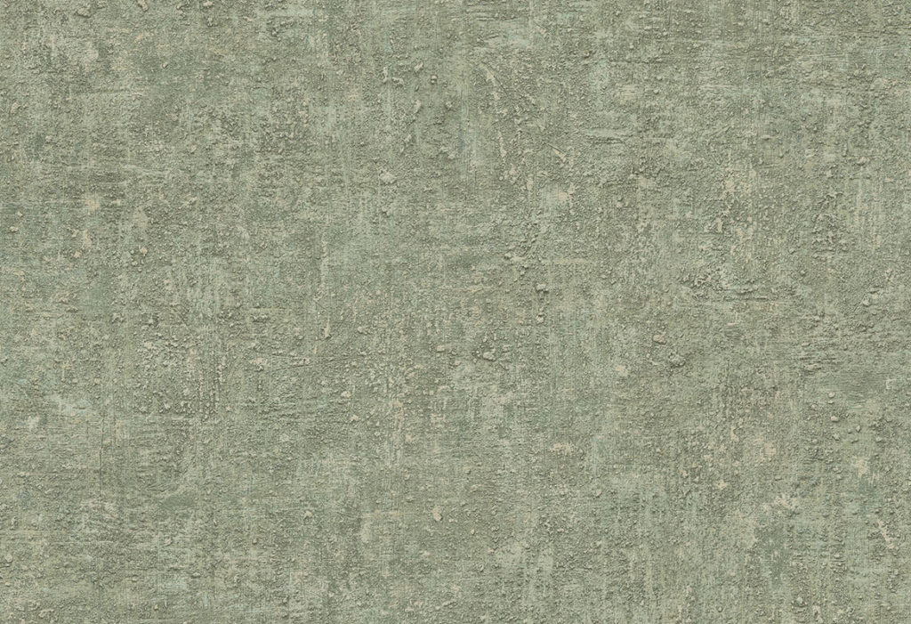 HoW Ginkgo - Bark 21962