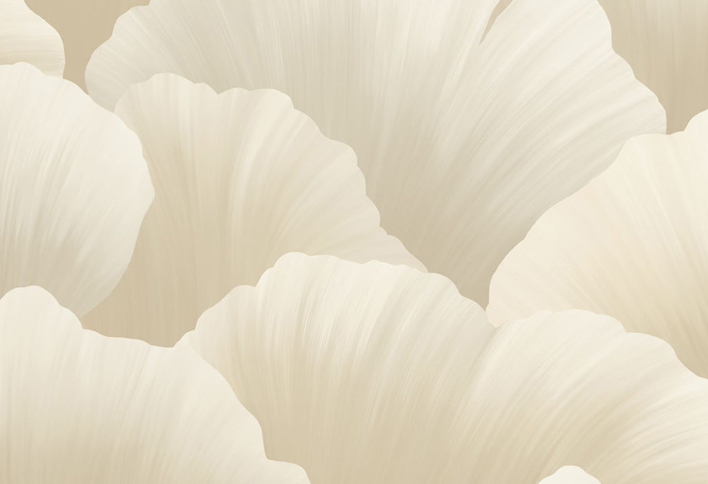 HoW Ginkgo - Ginkgo 21901