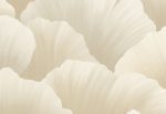 HoW Ginkgo - Ginkgo 21901