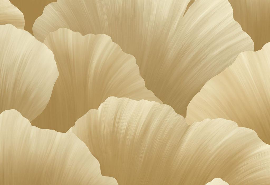 HoW Ginkgo - Ginkgo 21903