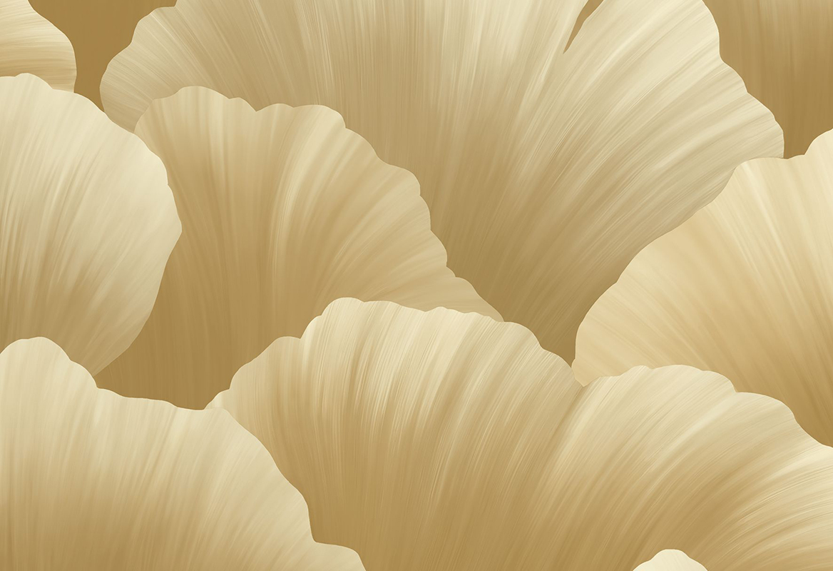 HoW Ginkgo - Ginkgo 21903 HoW Ginkgo - Ginkgo 21903