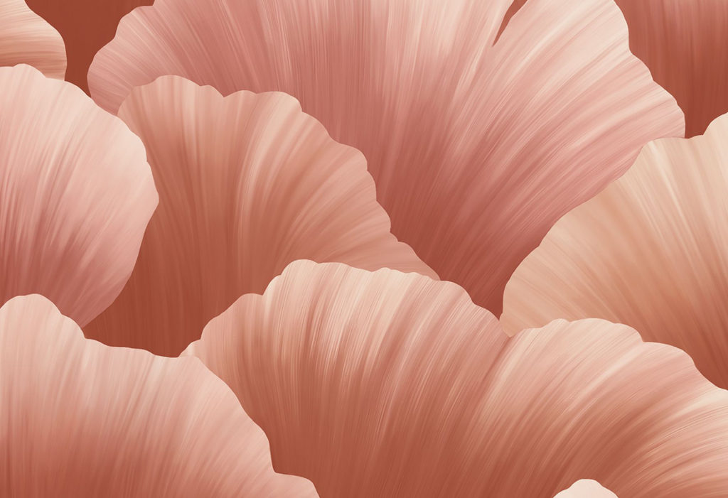 HoW Ginkgo - Ginkgo 21904