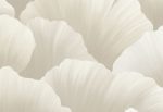 HoW Ginkgo - Ginkgo 21905