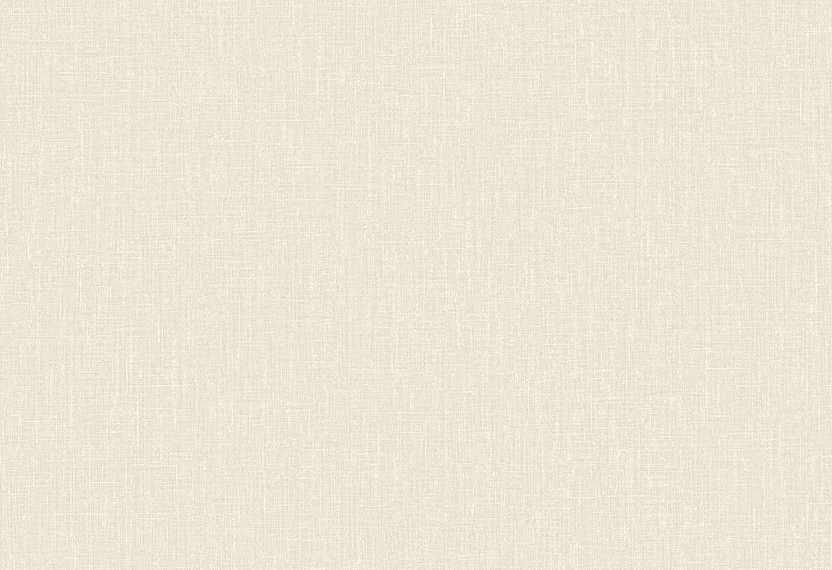 HoW Neutralizer 01 - Plain 31603 HoW Neutralizer 01 - Plain 31603