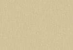 HoW Neutralizer 01 - Plain 31615