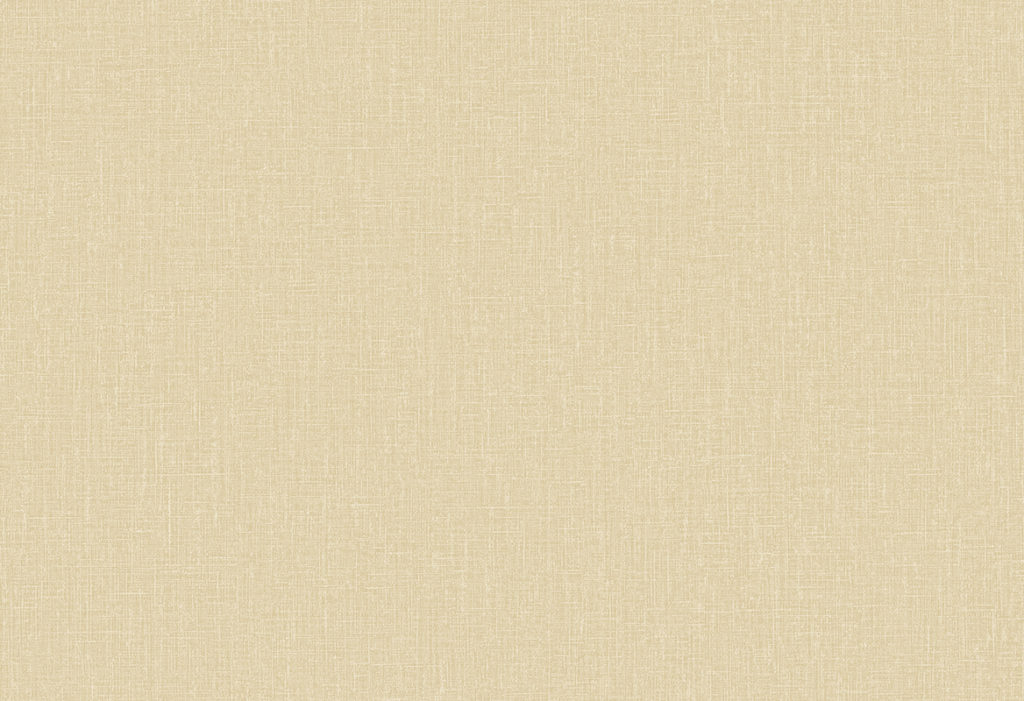 HoW Neutralizer 01 - Plain 31616