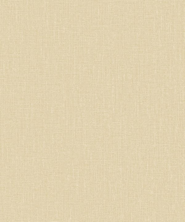 HoW Neutralizer 01 - Plain 31616