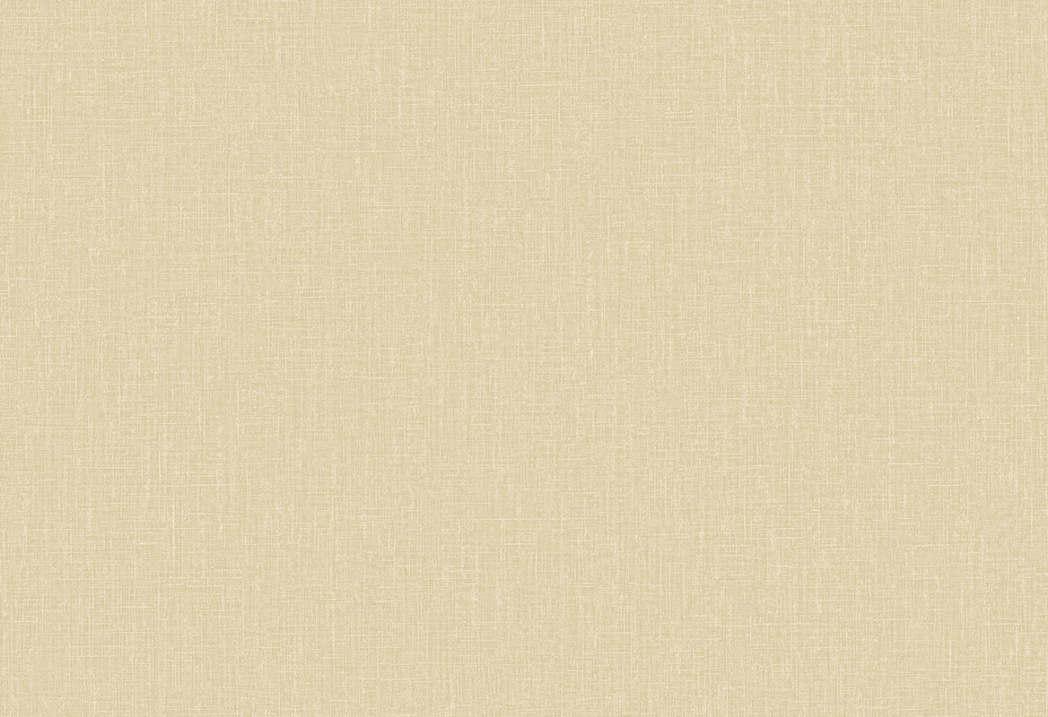 HoW Neutralizer 01 - Plain 31616 HoW Neutralizer 01 - Plain 31616