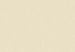 HoW Neutralizer 01 - Plain 31617