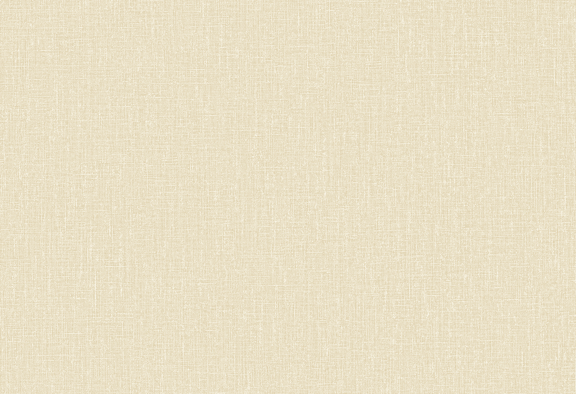 HoW Neutralizer 01 - Plain 31617 HoW Neutralizer 01 - Plain 31617