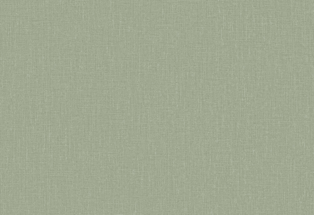 HoW Neutralizer 01 - Plain 31631